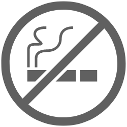 no smoking icono